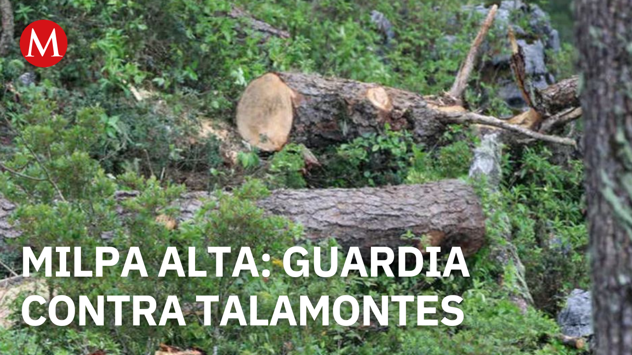 Pobladores de Milpa Alta forman guardia contra talamontes