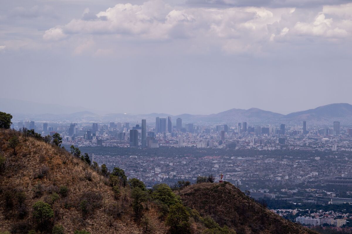 También se encontraron tres tibias, lo que hace pensar en más de una víctima (Foto: Javier Ríos)