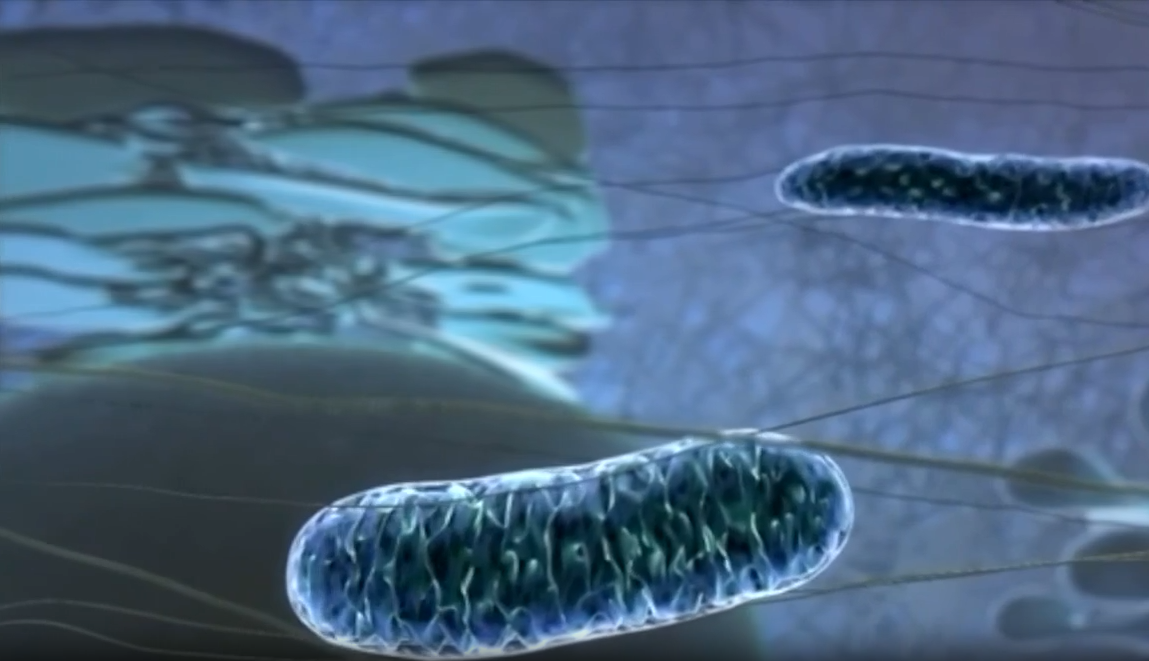 Investigadores de Texas desarrollan método para revitalizar células humanas dañadas