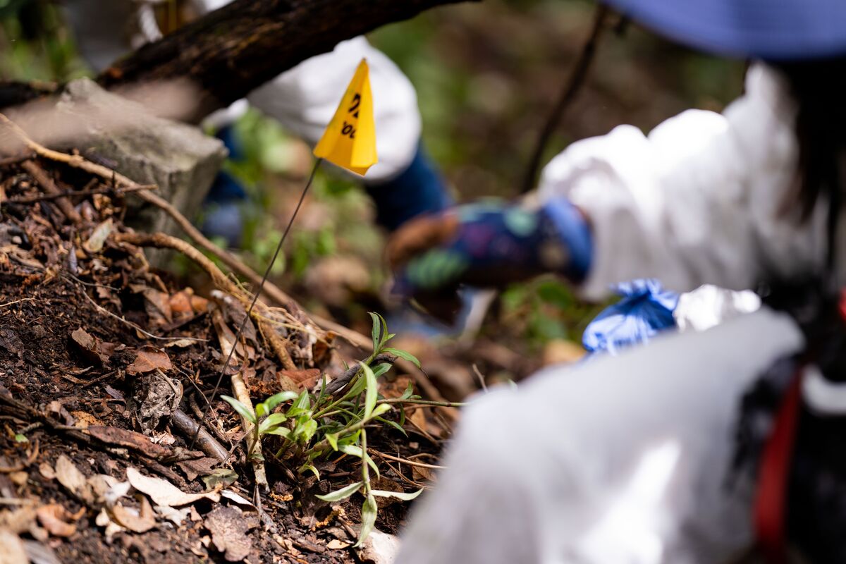 Hallan 20 huesos humanos en el Mirador Topilejo, Ajusco