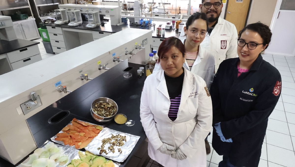 Mediante este producto, los investigadores buscan reducir el impacto ambiental de estos desechos. | Especial