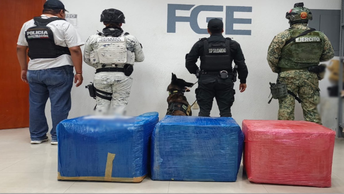 Autoridades aseguraron la droga tras una inspección con un binomio canino en Quintana Roo. | Especial