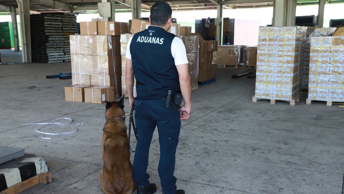 Los exportadores nacionales alegan que necesitan más personal y tiempo | Juan Carlos Bautista