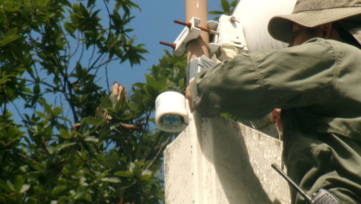 Los vecinos interesados pueden comunicarse al chatbot Sam Petrino | Especial