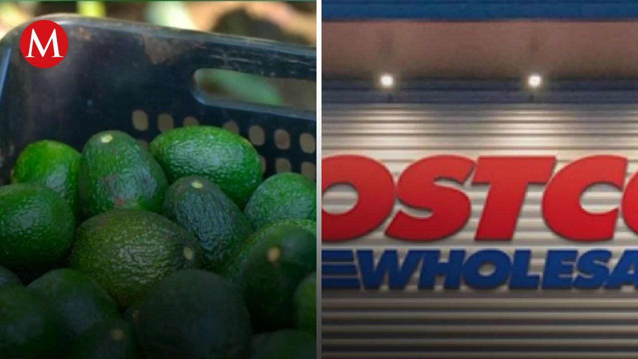 Costco exige certificación Pro Forest Avocado para aguacates en Michoacán