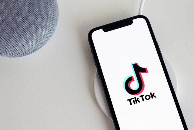Estas herramientas de TikTok son de utilidad para grandes empresas | Pixabay