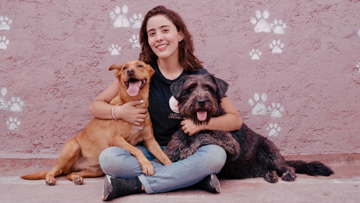 Huellitas Limoneros, la última oportunidad para muchos perros callejeros en Edomex
