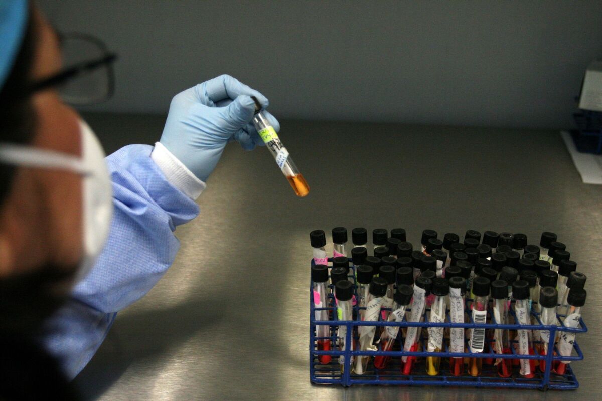 ¿Una cura contra el dengue? Los primeros pasos están dados