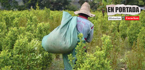 'Narcoeconomía' en Guerrero: el monopolio criminal que somete al campo mexicano