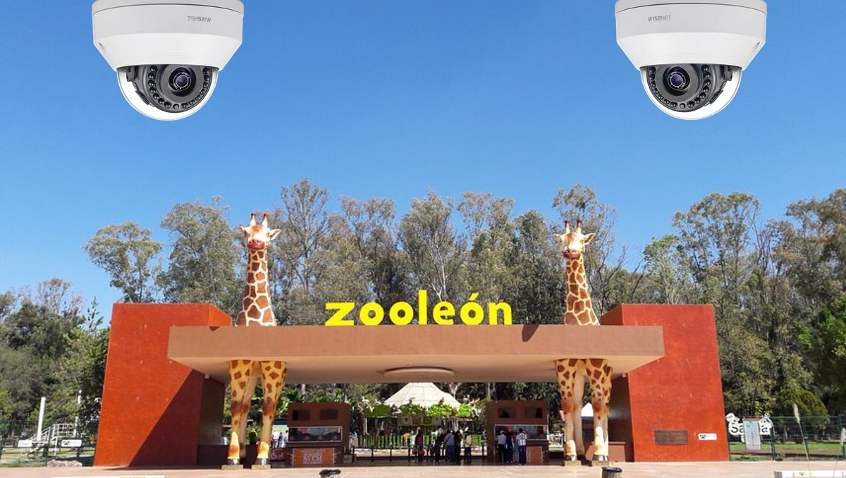 Zooleón: analizan estudio técnico para detectar riesgos | Especial