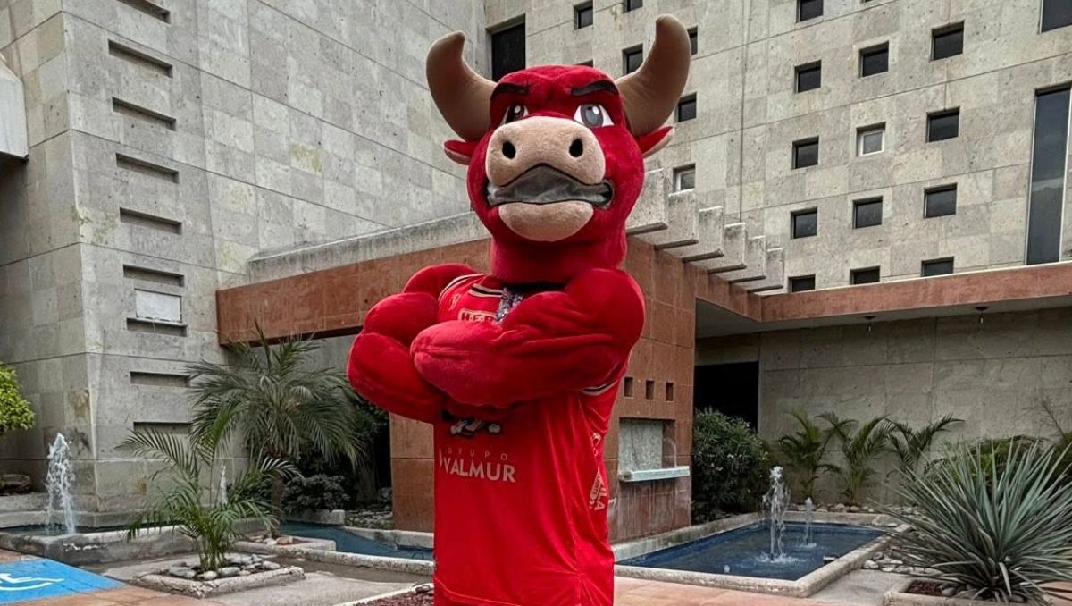 El ganador se dará a conocer el 24 de diciembre de 2025 a través de las historias del equipo. | Especial