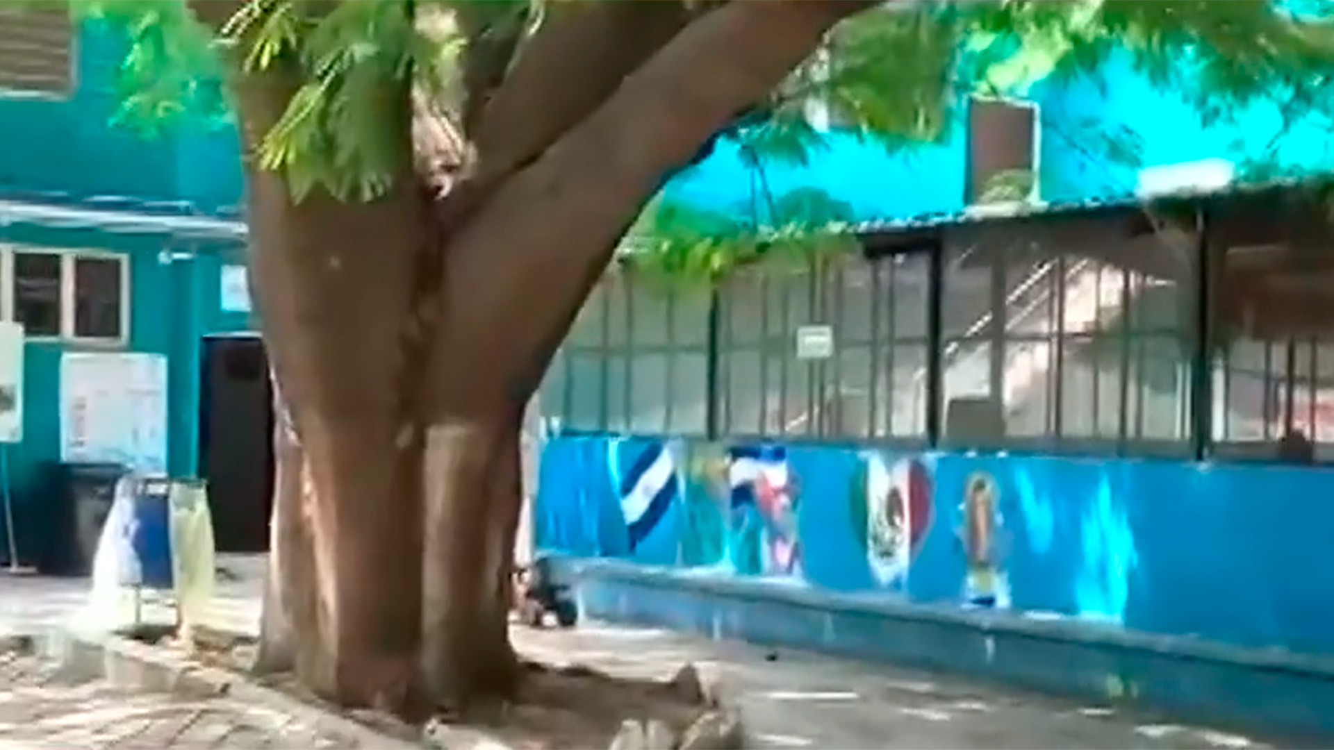 Oaxaca: 60% de migrantes deportados llegan con afectaciones de salud