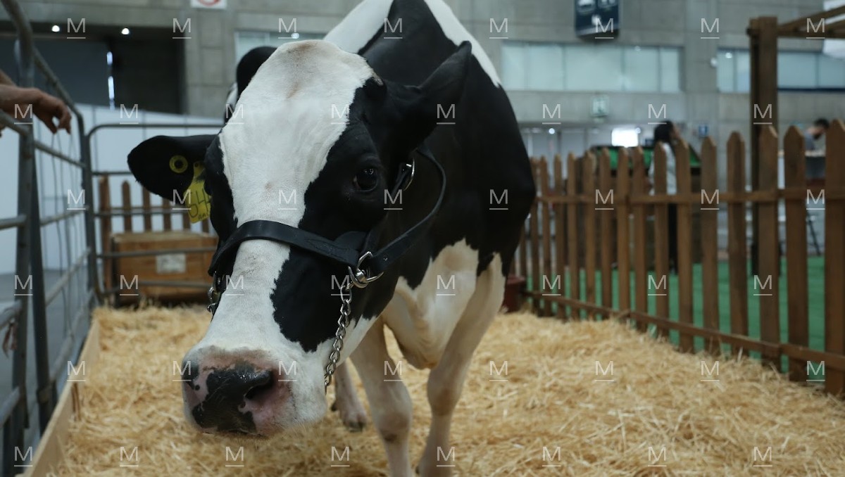 Productores y representantes del sector agropecuario expresan preocupación y piden reforzar las estrategias de seguridad. | Dany Béjar.