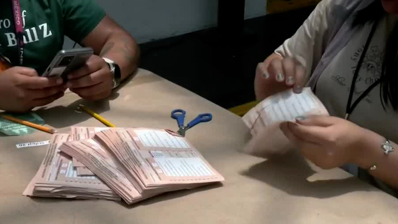 “La reforma electoral debe ser de consenso”: Entrevista con exconsejero del INE opina