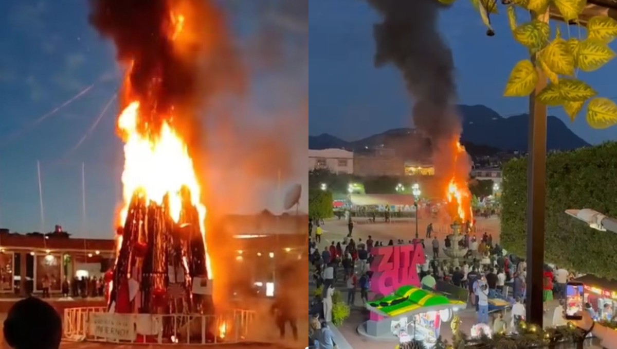 Arde árbol monumental en Zitácuaro durante protesta por muerte de joven | Captura