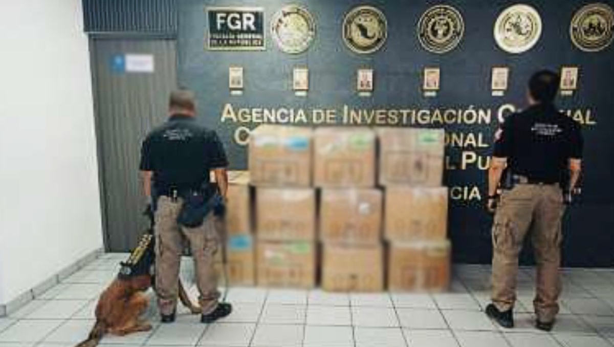 Hallan 131 kilos de mariguana en empresa de mensajería en Puebla