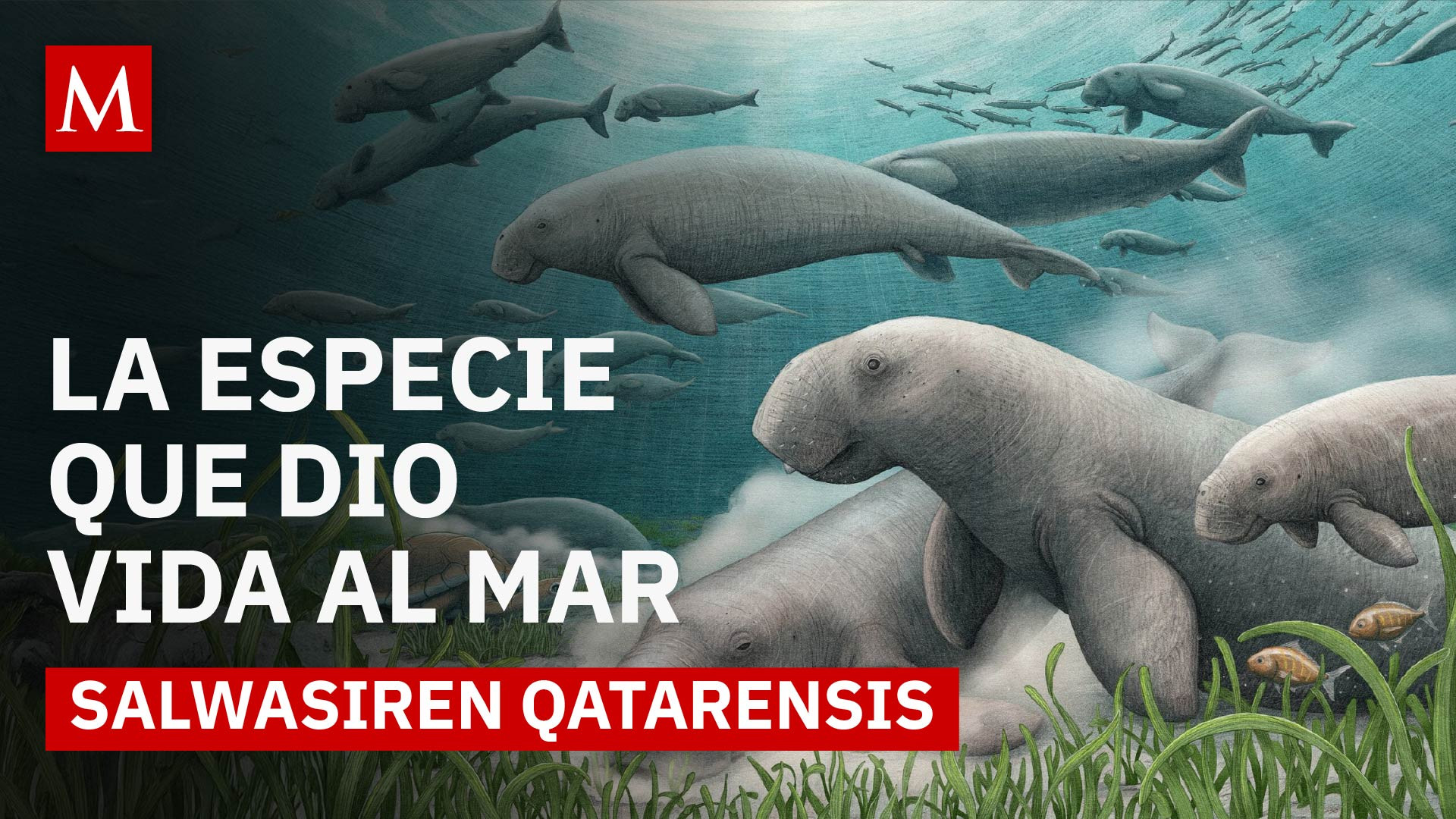 Descubren nueva especie de vaca marina fósil que transformó ecosistemas hace 21 millones de años