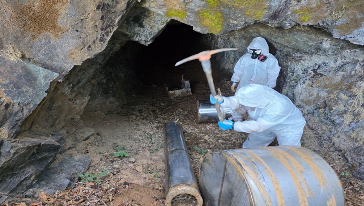 Desmantelan infraestructura para la producción de drogas en Sinaloa. | Especial