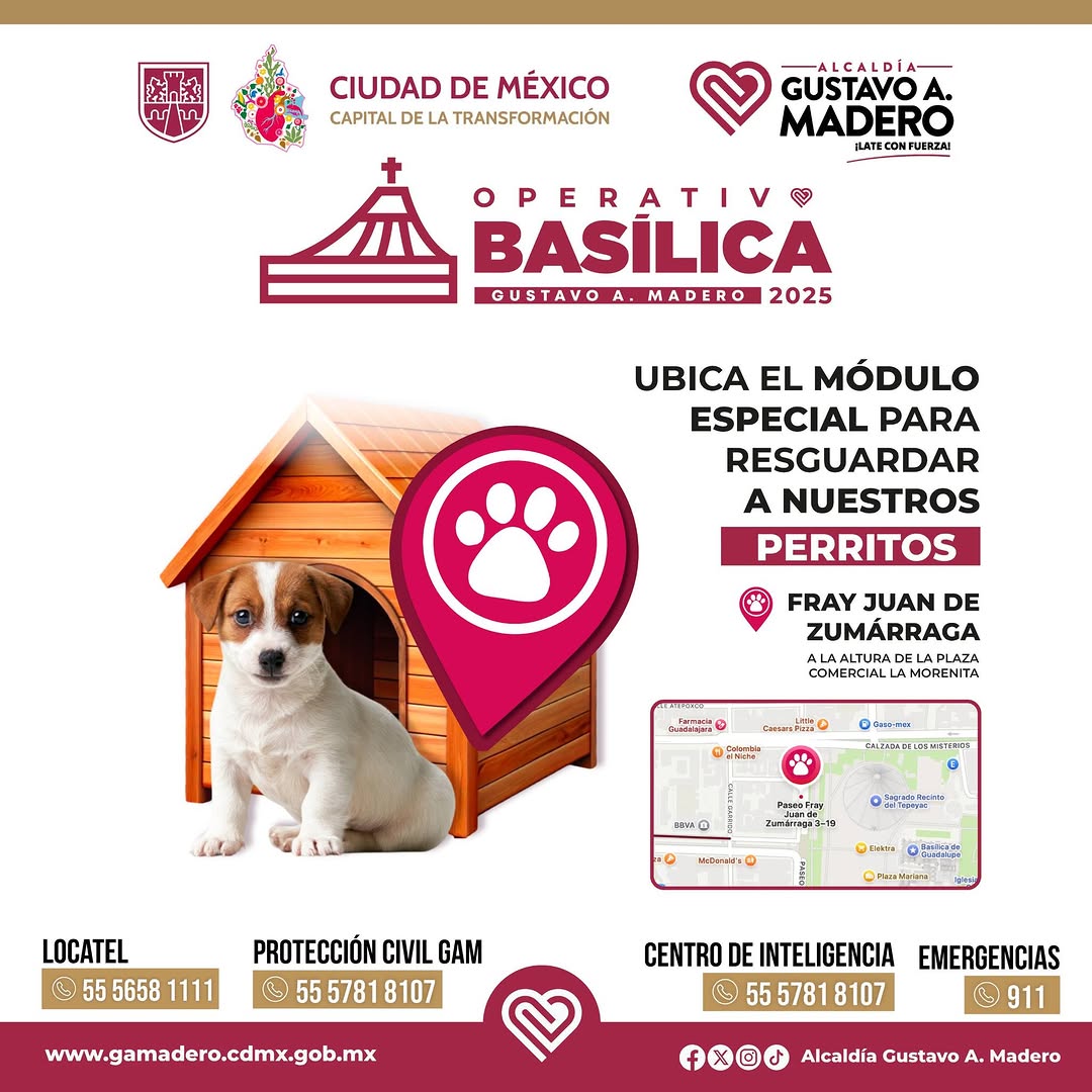 GAM instala módulo para perros peregrinos | Captura
