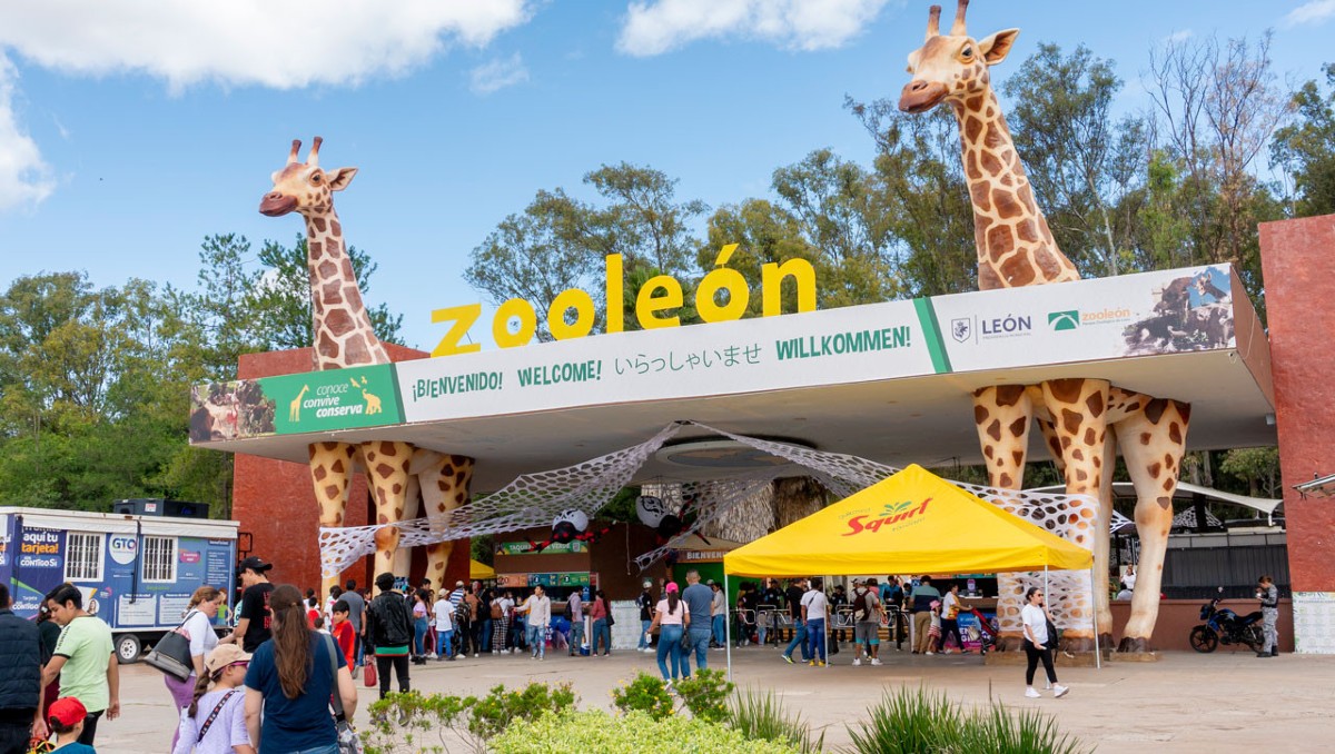 Las irregularidades en el Zoológico de León no es su única gestión en medio de señalamientos. | Foto: Especial