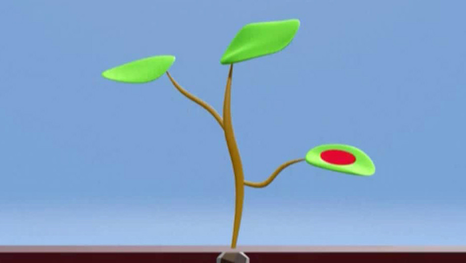 Retiran estudio clave sobre glifosato que sustentaba regulaciones a nivel global