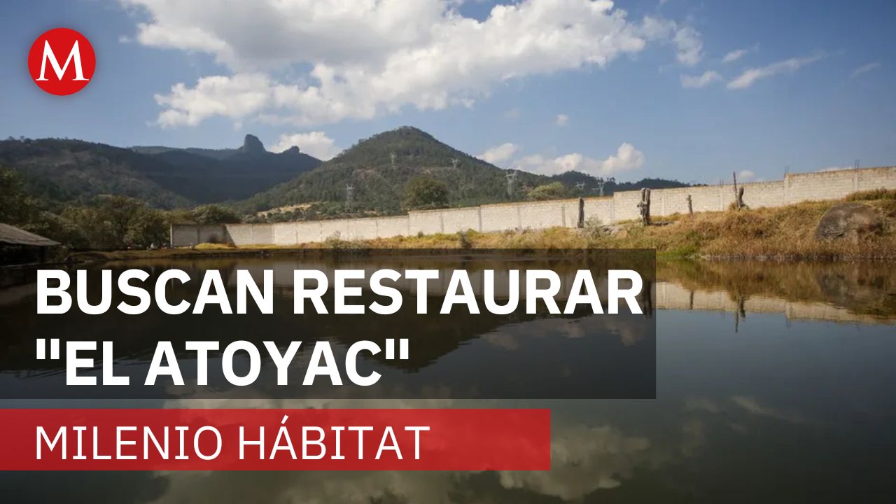 Río Atoyac, contaminado por 2 mil 850 descargas | Milenio Hábitat