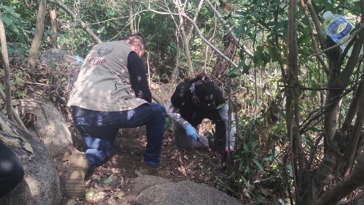 Colectivo de búsqueda encuentra restos óseos en zona urbana de Acapulco