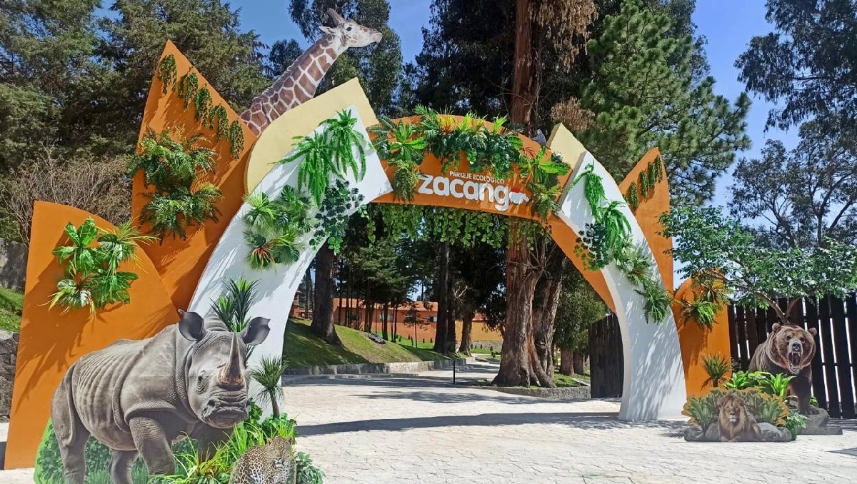Así puedes celebrar con las especies del Zoológico de Zacango. | Especial