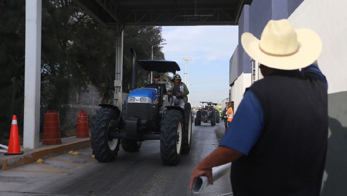 Productores de trigo en Guanajuato acusan al gobierno federal y a empresas de incumplir pagos y compra de grano.
