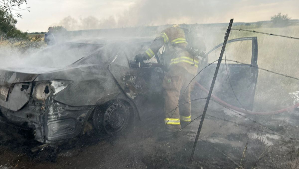 El siniestro ocurrió cerca de la Facultad de Ciencias Forestales | Martha Zamora