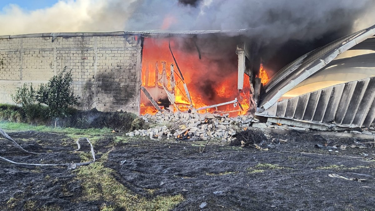 La aeronave cayó en inmediaciones del Aeropuerto de Toluca. | Especial