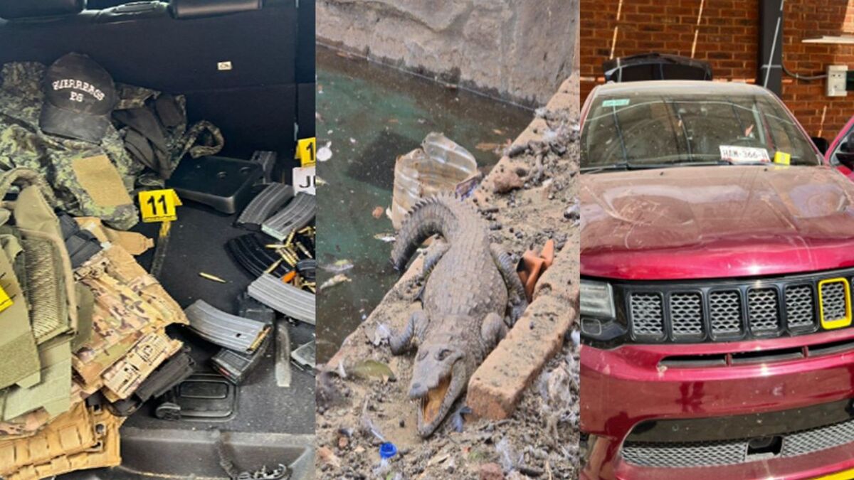 Aseguran armas, fauna y más en Arandas (Cortesía)