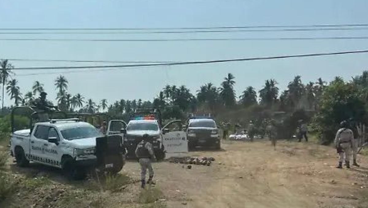 Aseguran mariguana en Guerrero. | Especial