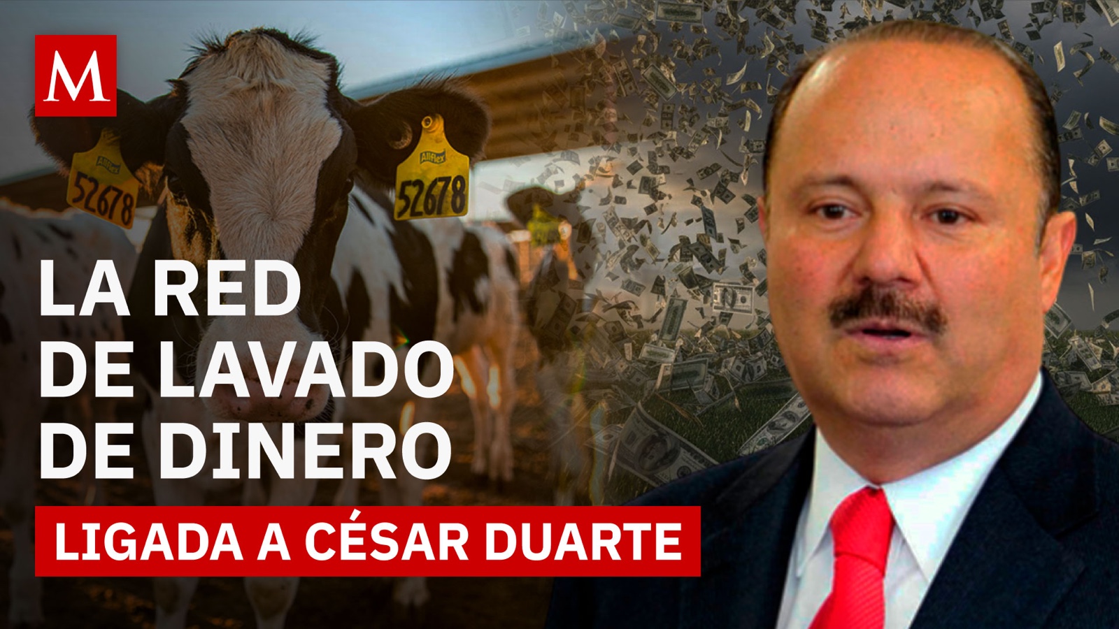 Ganadería, recursos públicos y millones investigados: el caso César Duarte