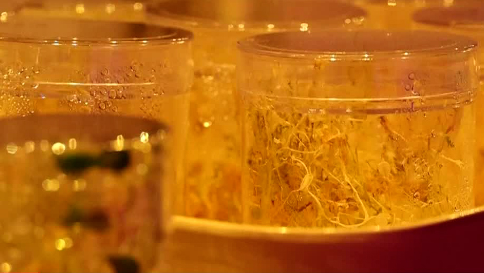 Proyecto Nutri3D impulsa nueva comida sustentable en Italia