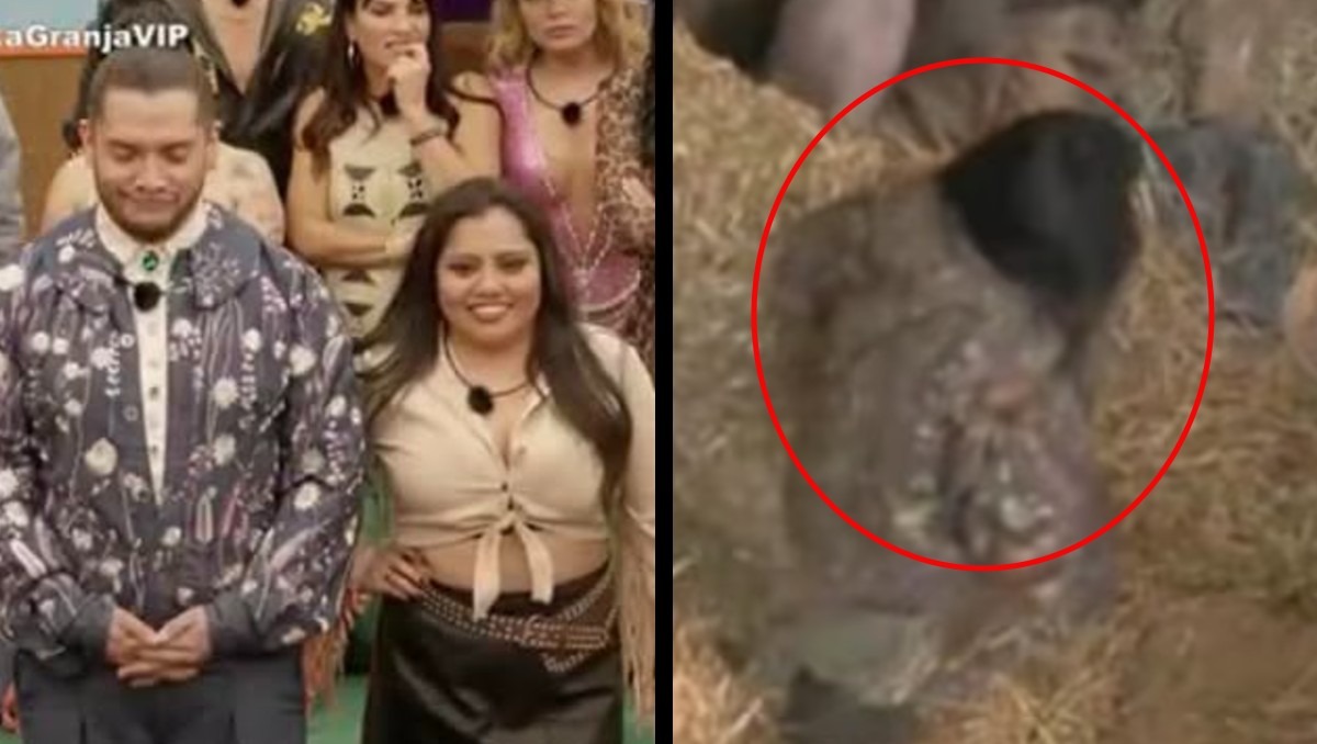 Bea y Teo son criticados por maltrato animal. | ESPECIAL