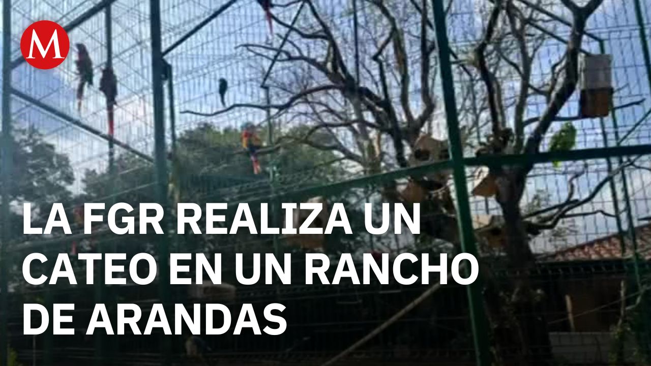 La FGR hace un cateo en un rancho de Jalisco; aseguran armas, vehículos y fauna