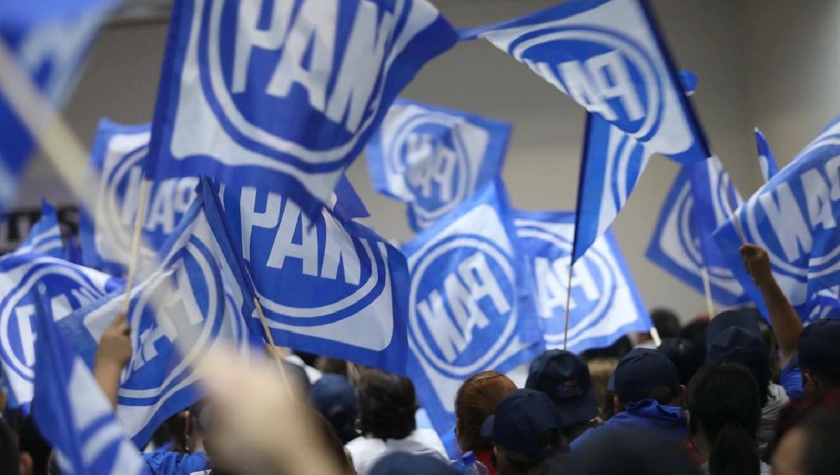 Guanajuato: reclaman al CEM del PAN traicionar principios | Especial