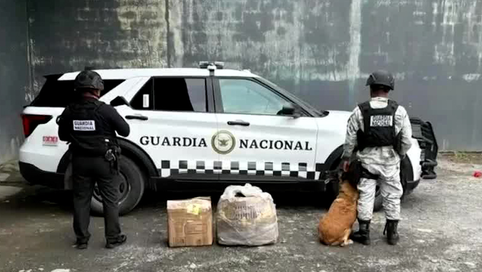 Operativos en Nuevo León: GN asegura diésel y pirotecnia