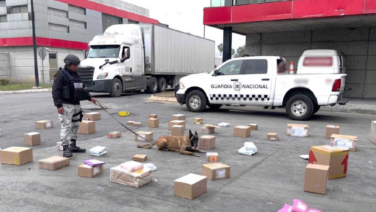 Aseguran más de 100 kilos de mariguana. | Especial