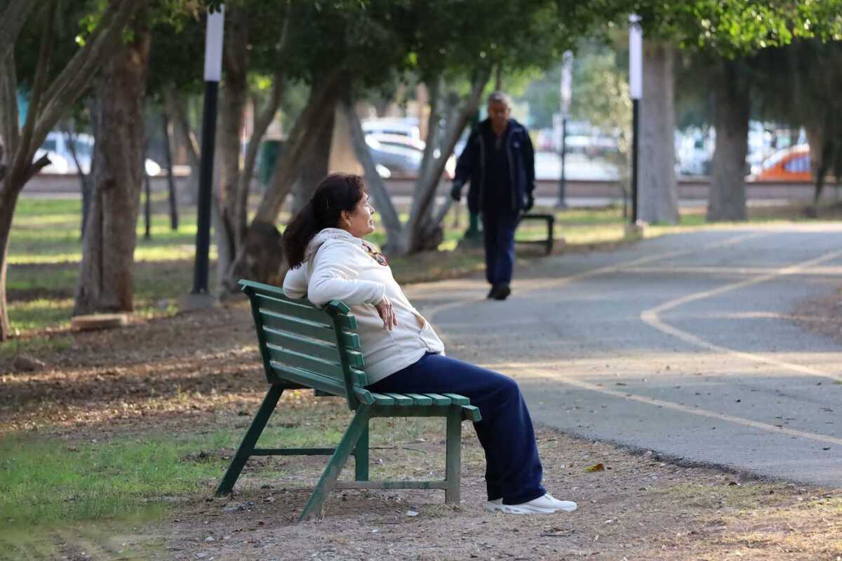 Te decimos cuál es el pronóstico del tiempo para Torreón, Saltillo, Coahuila y Durango este 18 de diciembre por condición climática.| Verónica Rivera