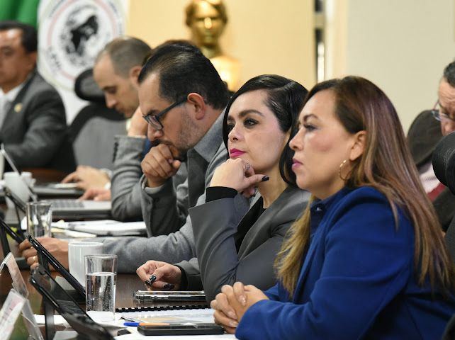 Diputada Paloma Barragán Santos. (Cortesía)