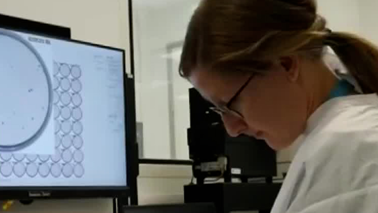 Entrevista con Omar Gómez: regresan vacunas a Chenalhó; aplican 450 dosis