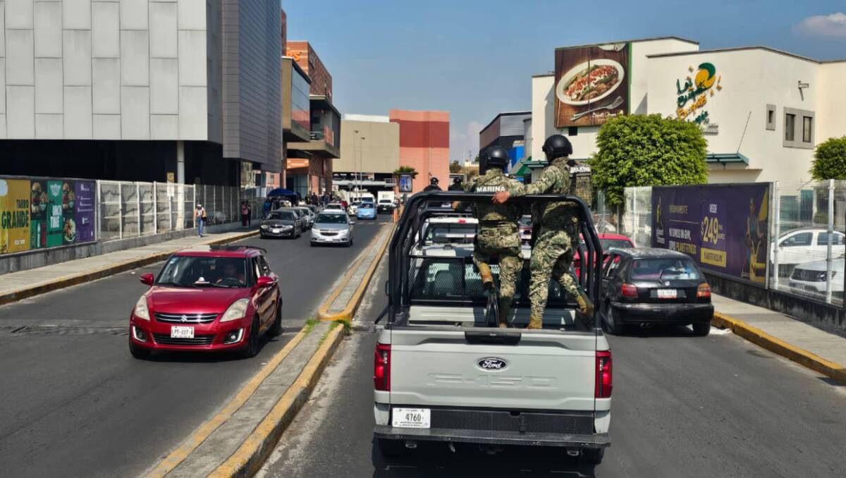 La policía mantiene vigilancia tras el robo a una mujer en Las Americas. Foto: (Especial)