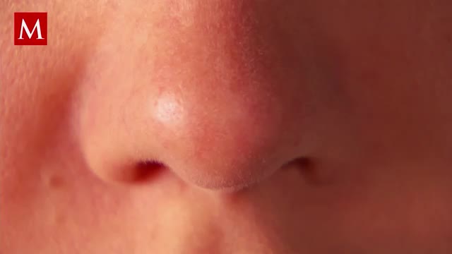 ¿Por qué tenemos dos fosas nasales en vez de una?