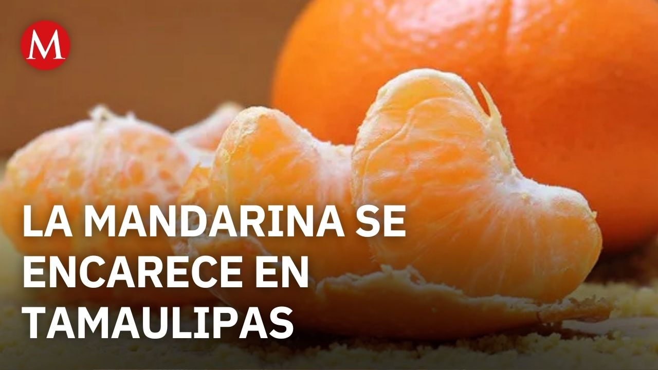 El precio de la mandarina sube 20% y alcanza casi 80 pesos el kilo en Tamaulipas