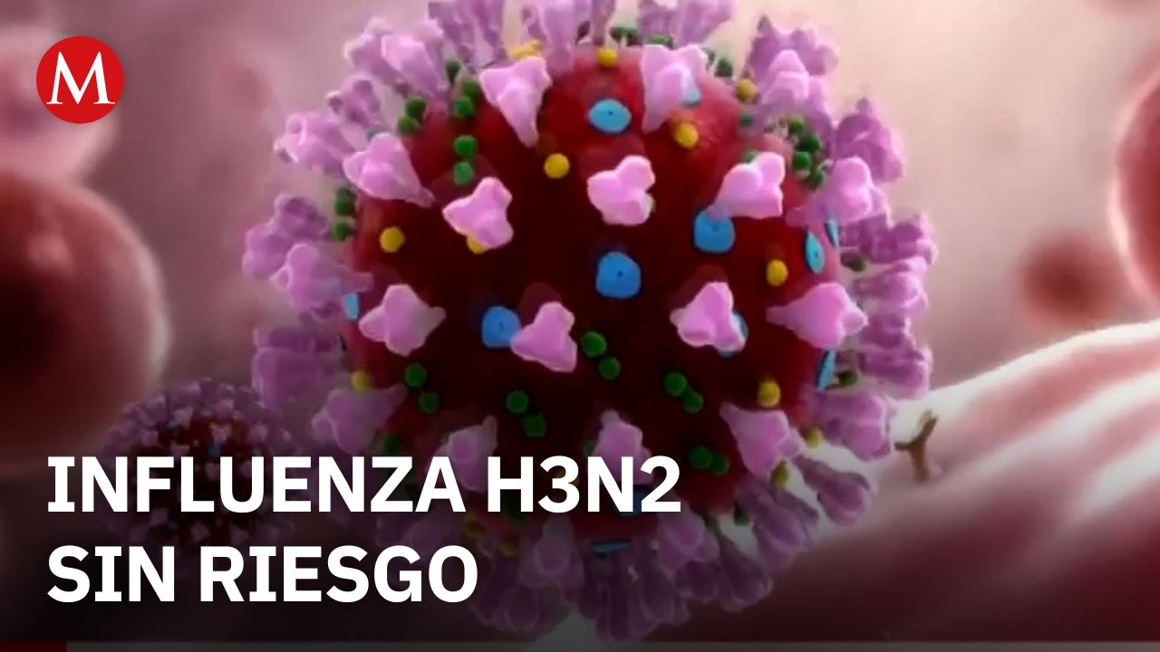 Secretaría de Salud descarta riesgo por influenza H3N2 en México