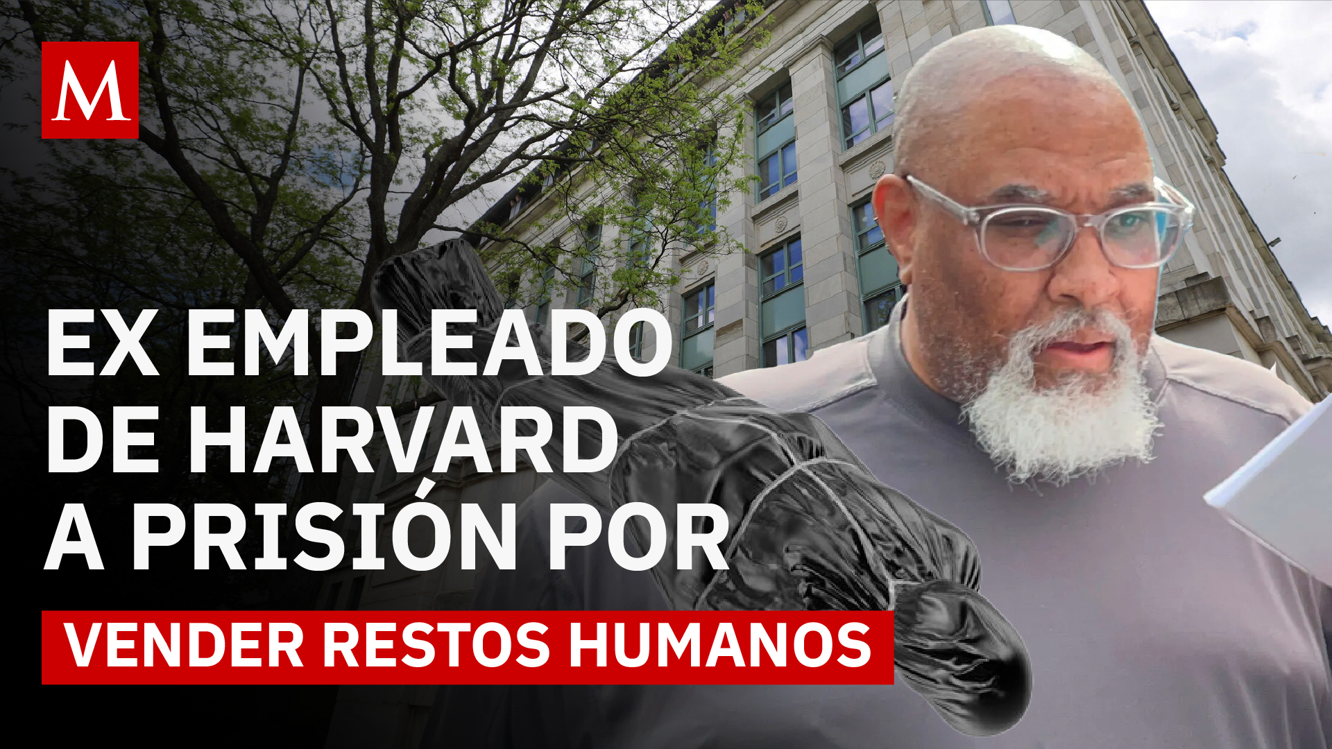 Exgerente de morgue de Harvard condenado a prisión por vender restos humanos