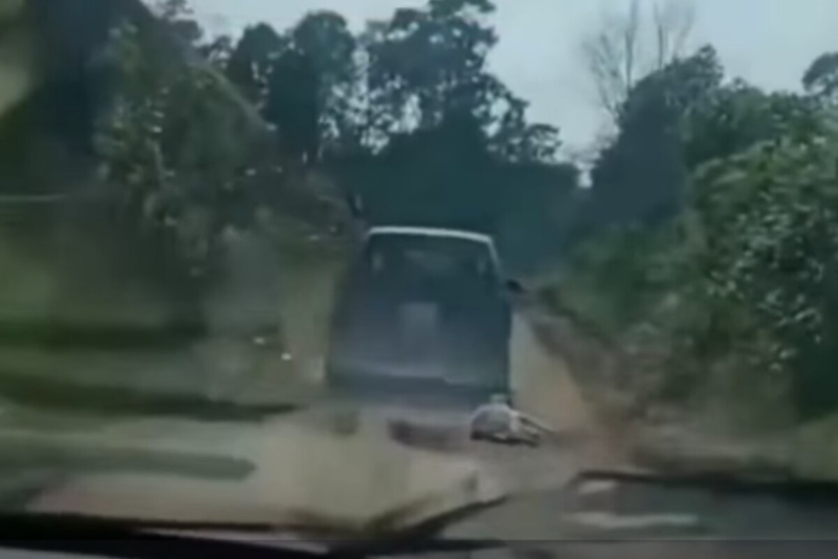 Las imágenes muestran a un perro atado a un vehículo en movimiento en Zacualtipán, Hidalgo.