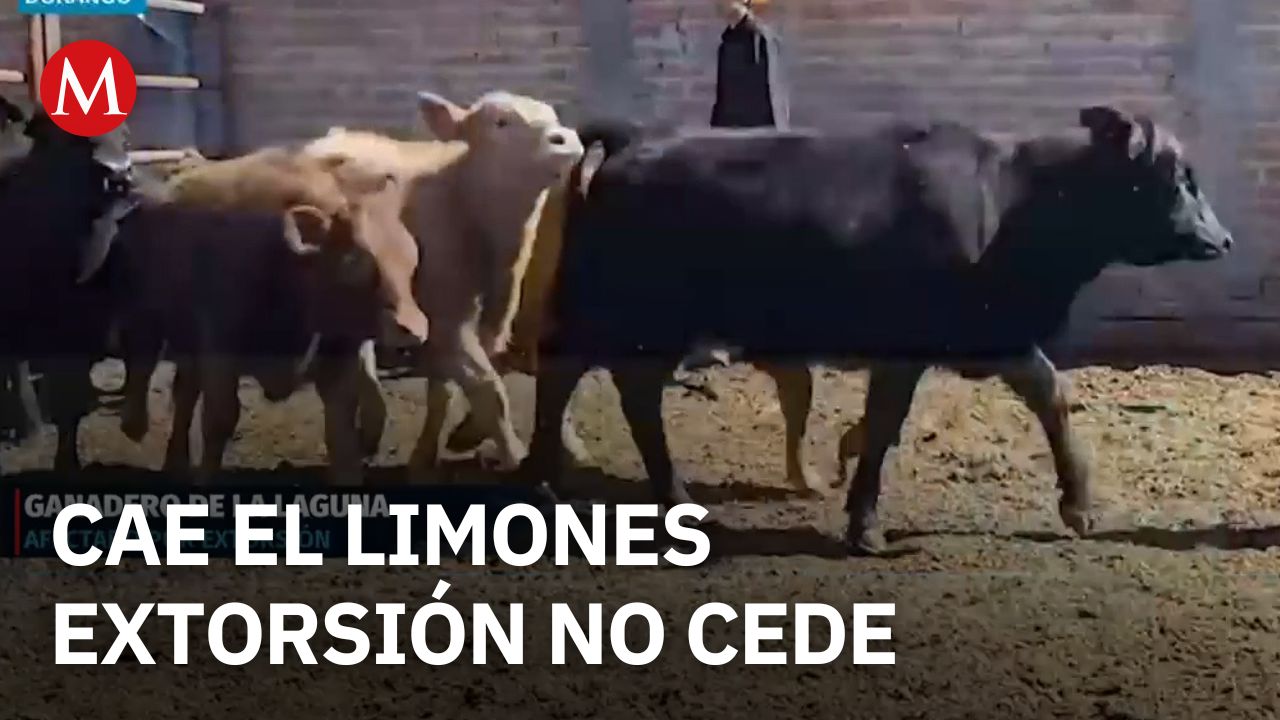 Persisten extorsiones a ganaderos en Durango pese a captura de 'El Limones'